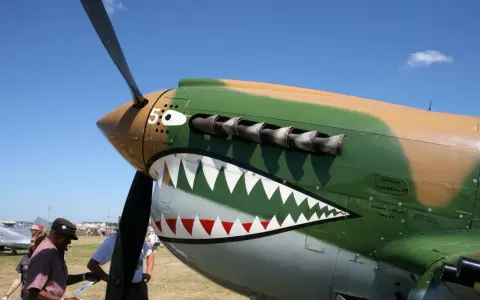 P 40 mit Haifischmaul-Bemalung und Propeller vor blauem Himmel.