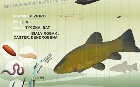 Jaki spławik na lina? Na jezioro, batem, z białym robakiem, casterem lub dendrobeną. Zestaw z haczykiem i obciążeniem.