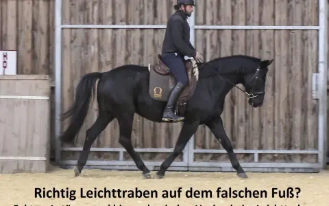 Reiter auf schwarzem Pferd im Trab. Die Frage "Richtig Leichttraben auf dem falschen Fuß?" wird thematisiert.