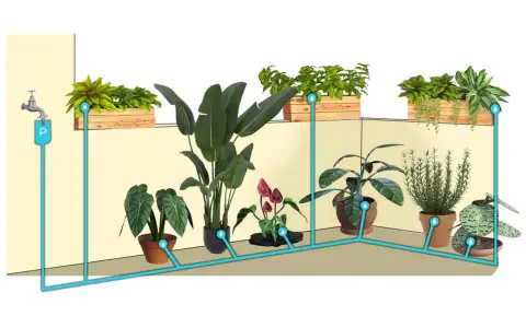 Sistema di irrigazione a goccia fai da te con bottiglia, che collega un rubinetto a diverse piante in vaso e fioriere.