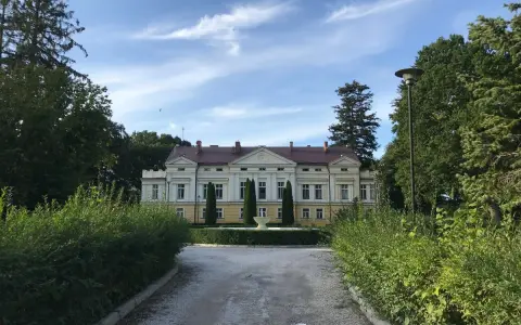 Pałac w Sasinie otoczony zielenią, z podjazdem i fontanną przed fasadą.