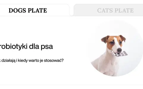 Jack Russell terrier z blistrem tabletek w pysku. Dowiedz się o naturalnych probiotykach dla psa.