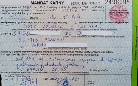 Jak opłacić mandat przelewem? Krok po kroku bez błędów!