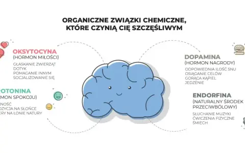 Dopamina, hormon nagrody, uwalnia się podczas snu, osiągania celów, kąpieli i jedzenia. Obrazek przedstawia mózg i związki chemiczne szczęścia.