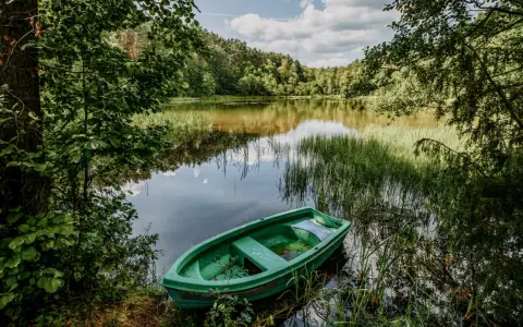 Zielona łódka przy brzegu spokojnego jeziora Wałpus, otoczonego bujną zielenią lasu.