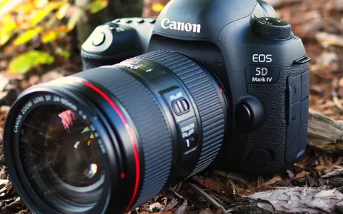 Profesjonalny aparat Canon EOS 5D Mark IV z obiektywem leży na leśnym podłożu.