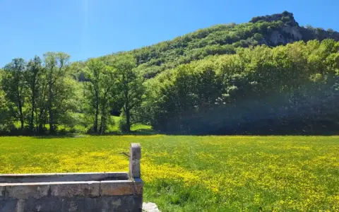 Un antico lavatoio in pietra, una fonte della noce, si affaccia su un prato fiorito di giallo, con alberi rigogliosi e una montagna sullo sfondo.