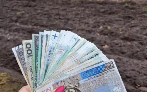 Dłoń trzyma wachlarz polskich banknotów, symbolizujących pomoc de minimis dla rolnika.