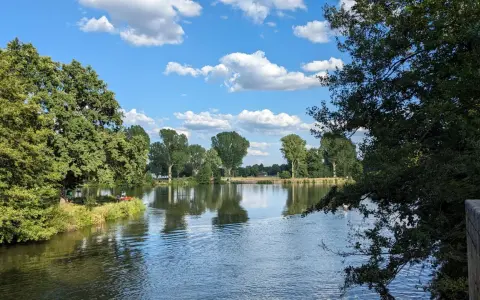 Sommerliche Idylle am badesee bamberg. Grüne Bäume spiegeln sich im ruhigen Wasser, der Himmel ist blau mit weißen Wolken.
