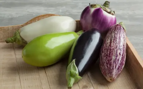 Variétés d'aubergines photos : une aubergine blanche, une verte, une noire, une violette ronde et une tigrée sur un plateau en bois.