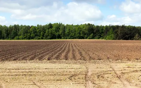 Idealny teren pod zakup działki rolnej do 1 ha. Pole zaorane, gotowe na nowe plony, z lasem w tle.