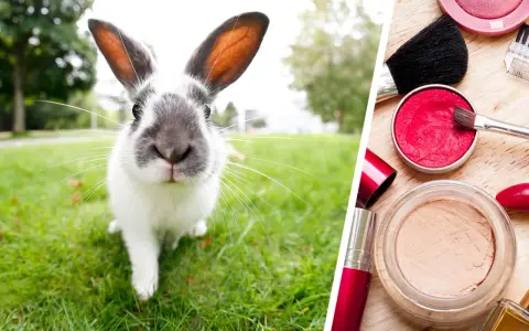 Kosmetik mit Tierversuche: Die versteckten Risiken und Alternativen