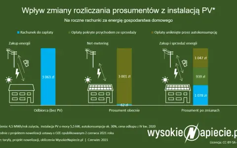 Nowa ustawa o OZE: Jak RED II zmienia rynek dla prosumentów i firm?