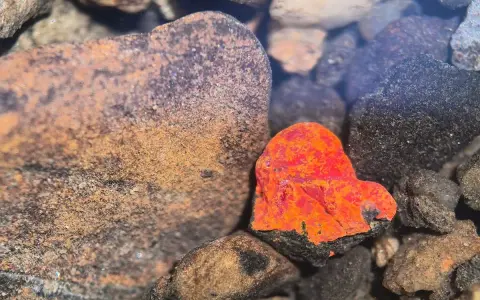Jasny, pomarańczowy minerał w kształcie serca wśród ciemnych kamieni.