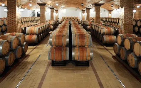 Bodega con hileras de barricas de roble sobre suelos de baldosas, creando un ambiente perfecto para la crianza de vinos.