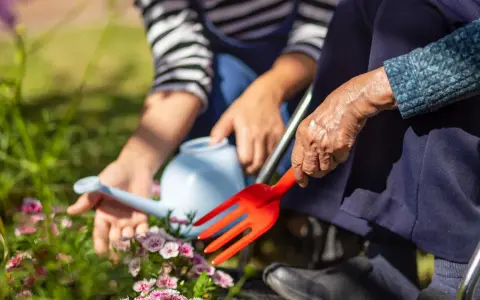 Ręce starszej osoby i młodszej osoby pielęgnują kwiaty. Terapia ogrodem przynosi spokój i radość.