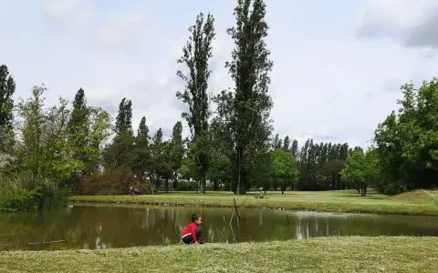 Bambino in gita al Delta del Po, seduto sull'erba vicino a uno stagno, circondato da alberi alti e verdi.