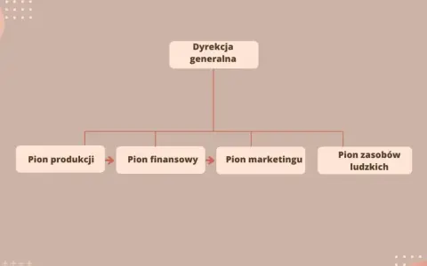 Schemat przedstawia płaską strukturę organizacyjną: Dyrekcja generalna nadzoruje piony: produkcji, finansowy, marketingu i zasobów ludzkich.