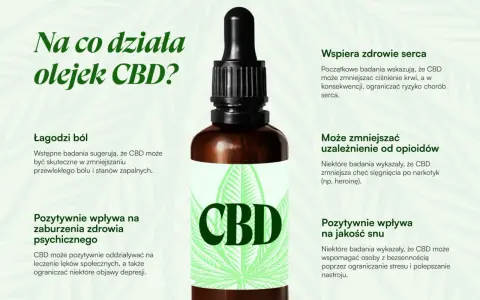 Olej CBD łagodzi ból, wspiera serce, poprawia sen i może zmniejszać uzależnienia. Dowiedz się, na co działa olejek CBD.