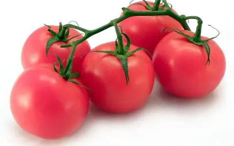 Pięć soczystych pomidorów malinowych na gałązce. Niska zawartość kcal sprawia, że to idealna przekąska.