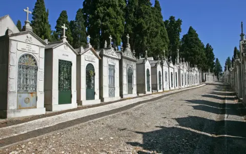 Reihe von Mausoleen auf einem Friedhof in Portugal, mit Zypressen im Hintergrund und einem steinigen Weg.