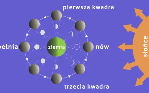 Cykl faz księżyca wokół Ziemi: nów, pierwsza kwadra, pełnia, trzecia kwadra. Słońce oświetla Księżyc, tworząc widoczne fazy.