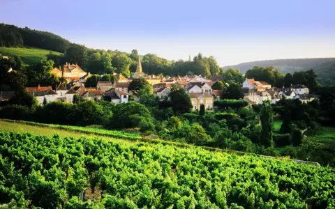 Village pittoresque niché au cœur d'un vignoble verdoyant, sous un ciel bleu clair. La tâche vin est omniprésente.