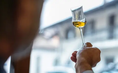 Dłoń trzyma kieliszek ze złotym płynem. To grappa, włoski destylat z wytłoków winogron.