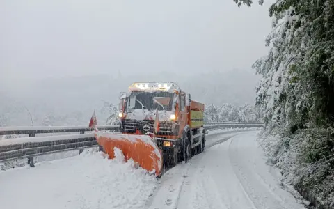 Appennino Reggiano Oggi: Meteo, Eventi, Viabilità e Notizie