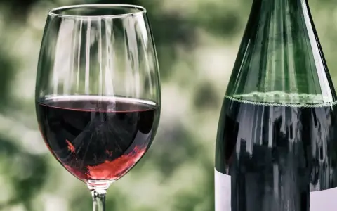 Ein Glas mit tiefrotem Zweigelt Rotwein steht neben einer grünen Flasche. Der Wein schimmert im Glas.