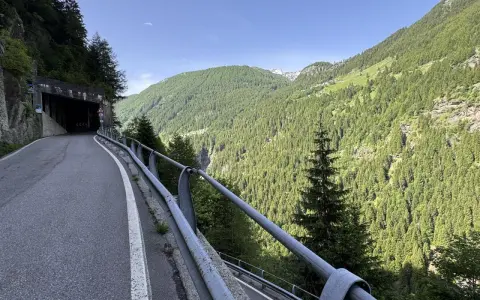 Strada tortuosa che porta al Passo dello Spluga, con un tunnel in primo piano e montagne boscose sullo sfondo.