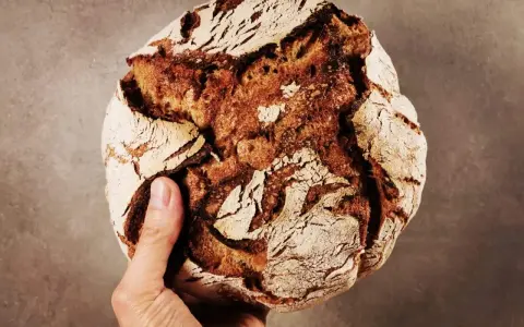 Hand hält ein rustikales Brot aus Emmer Urkorn mit knuspriger Kruste und dunkler Krume.