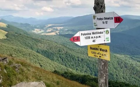 Wskazówki szlaku na Przełęcz Orłowicza i Połoninę Wetlińską. Kierunek na Osadzki Wierch.