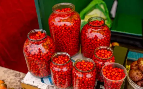 Słoje pełne czerwonych owoców, gotowe na kompot z wiśni na zimę.