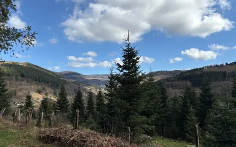 Paysage de Robert Landsburg : sapins imposants, ciel bleu et nuages blancs, avec un village niché dans la vallée.