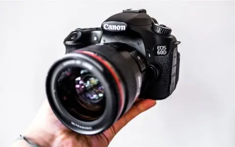 Canon EOS 60D: Czy warto go kupić w 2026? Przewodnik dla amatora