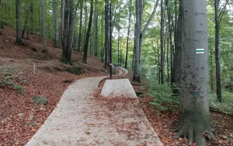 Kamienna ścieżka w lesie, liście na ziemi, a na drzewie znak szlaku. W oddali widać ludzi idących na Kozia Górę.