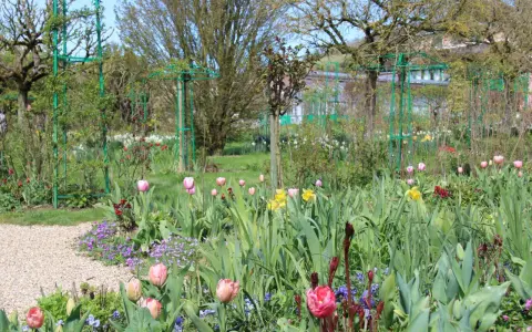 Un jardin printanier fleuri, idéal pour savoir quoi planter en avril. Tulipes roses et jaunes, jonquilles et petites fleurs violettes s'épanouissent.