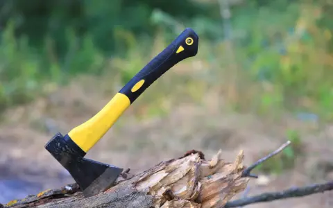 Siekiera z żółto-czarną rękojeścią wbita w spróchniałe drewno. Różne rodzaje siekier mogą wyglądać podobnie.