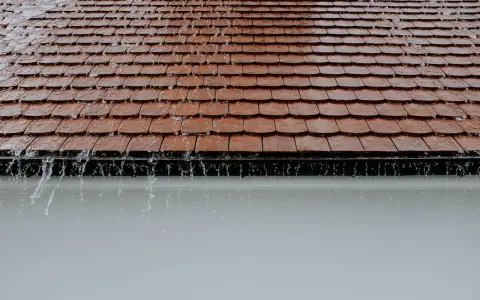 Folia na dach: Jak wybrać najlepszą ochronę przed wilgocią?