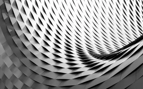Composition d'image abstraite en noir et blanc, montrant une structure métallique aux formes ondulées et répétitives, créant un jeu d'ombres et de lumières.