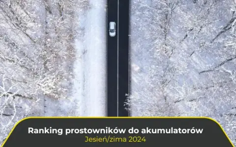 Najlepsze prostowniki do 300 zł - wybierz mądrze i oszczędzaj