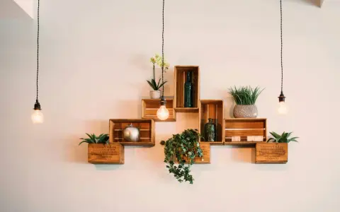 Ideas pared decoracion con cajas de madera, plantas y luces colgantes. Estanterías rústicas y creativas.