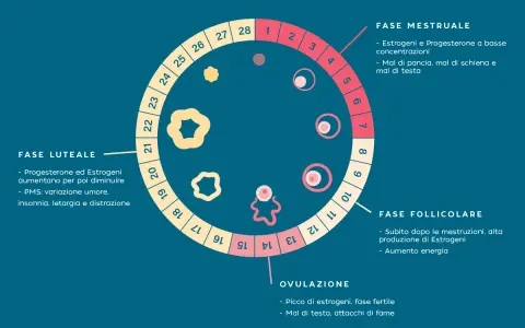 Schema del ciclo mestruale, con le fasi (mestruale, follicolare, ovulazione, luteale) e i relativi sintomi, utile per il cycle syncing.