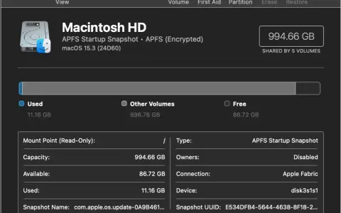 Skivverktyget visar en krypterad hårddisk, Macintosh HD, med 11.16 GB använd.