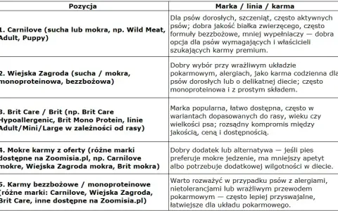 Jaką karmę dla szczeniaka wybrać? Poradnik eksperta Kacpra Malinowskiego