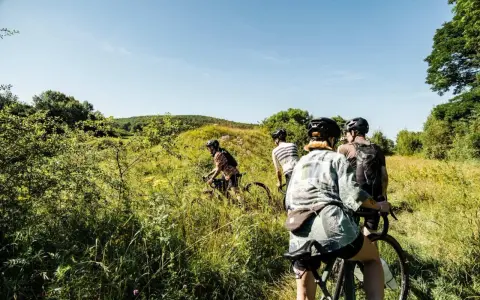Vier Radfahrer auf einem Feldweg, die eine 360-Grad-Tour durch die Natur genießen.