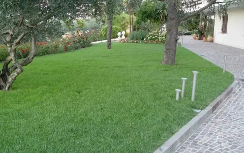 Un césped verde y frondoso, resultado de un perfecto **plantar césped**, rodea árboles y flores en un jardín cuidado.
