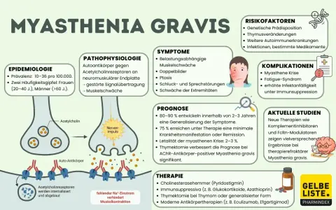 Myasthenia Gravis: Autoimmunerkrankung mit Muskelschwäche. Infektionen und bestimmte Medikamente sind Risikofaktoren. Therapieoptionen umfassen Immunsuppressiva.
