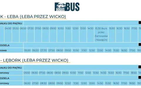Boguś Bus Lębork: Gdzie dokładnie przystanek? Sprawdź rozkład!
